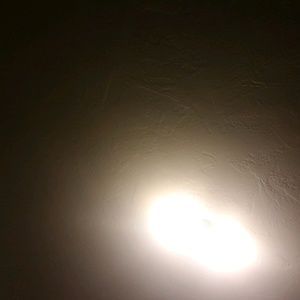 Meet your Posher, Vince